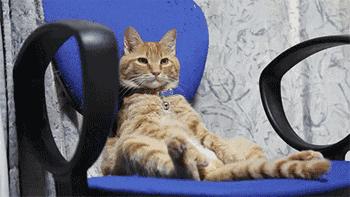 鍋囨湡寤堕暱缇庨,鎵撳崱娲涢槼杩欎簺缇庨鑰佸簵