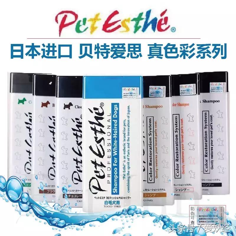 宠物洗护攻略,爱妖经养宠怎么玩