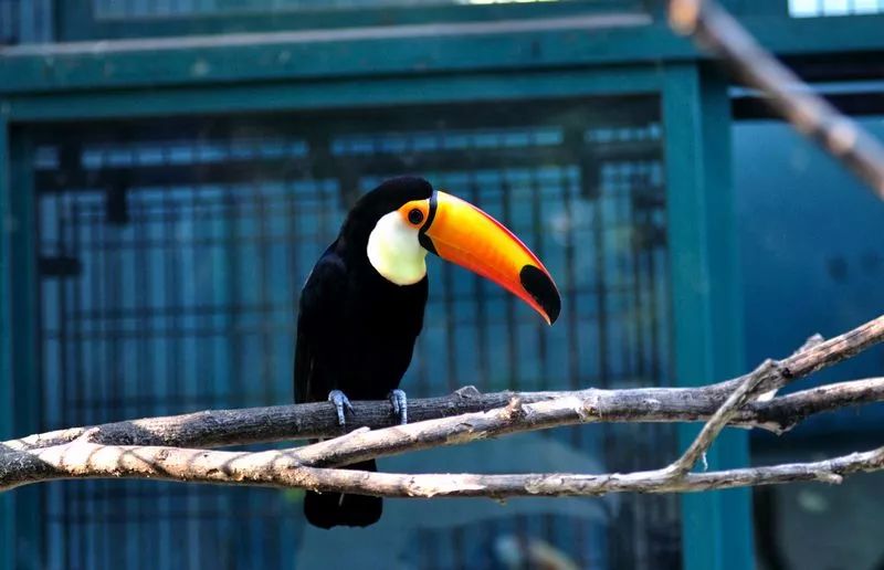 上海新年一定要去的地方,过年上海去哪玩好又便宜又好玩