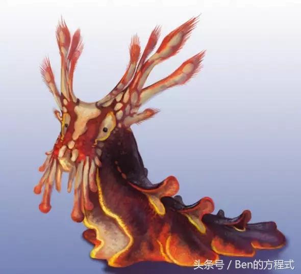 盘点神奇宝贝动漫,动画版神奇宝贝漫画特别篇解说