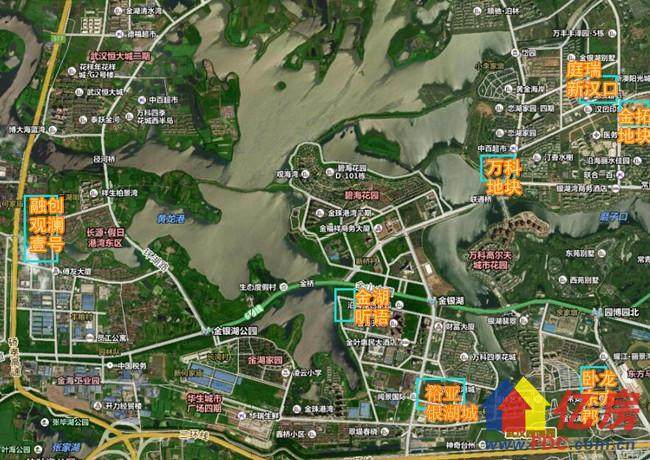 东西湖金银潭和金银湖的房价,东西湖区金银潭房价