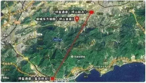 2018年,深圳人的身价将暴涨!看完你绝对不想离开!