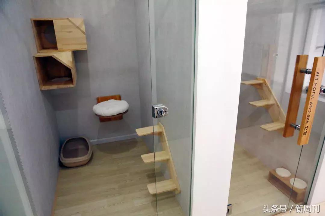 中国顶级宠物酒店,高端宠物酒店推荐