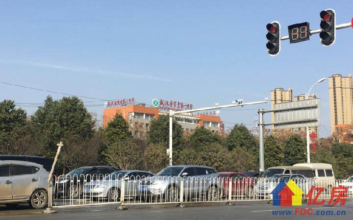 东西湖金银潭和金银湖的房价,东西湖区金银潭房价