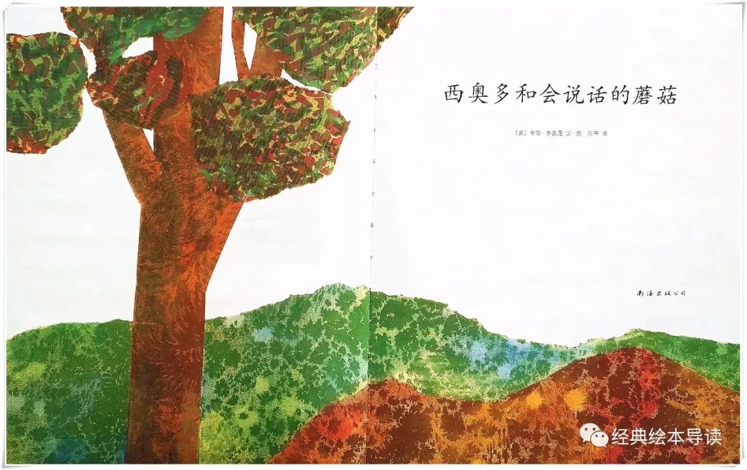 诚实地做最好的自己—《西奥多和会说话的蘑菇》导读