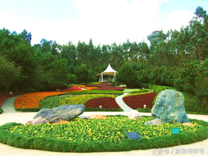 云南5a景区地图一览表,云南5a景区名单最新