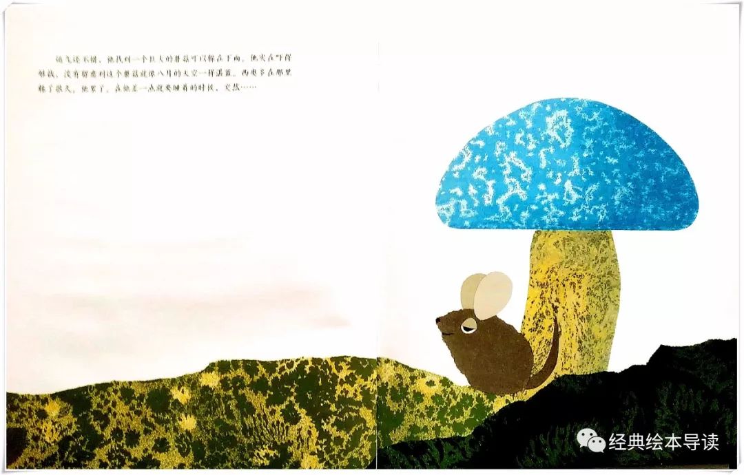 诚实地做最好的自己—《西奥多和会说话的蘑菇》导读