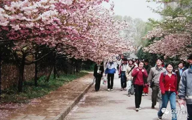 淮阴区卫岗,亳州卫岗镇