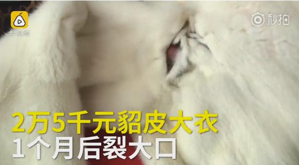 貂皮大衣2980,貂皮大衣5050