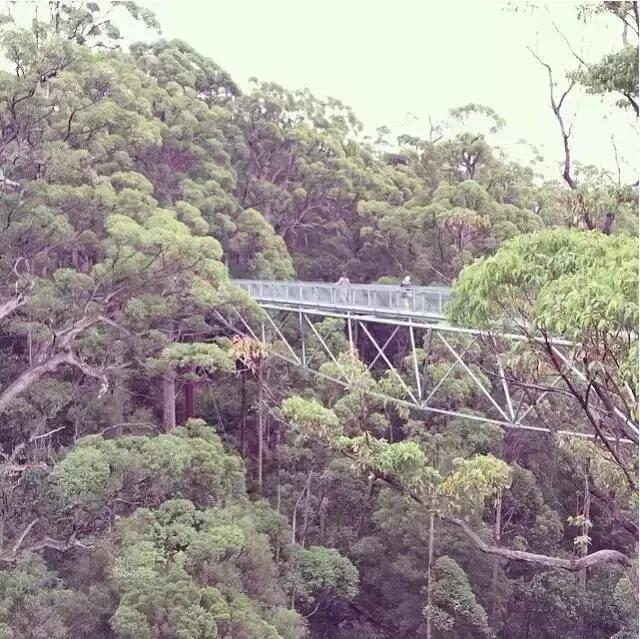 澳洲签证体检后多久签证可以获批,澳洲820签证转801签证需要多久