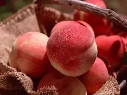 胃不好的人请停止吃这四种水果,胃不好的人这些食物别碰