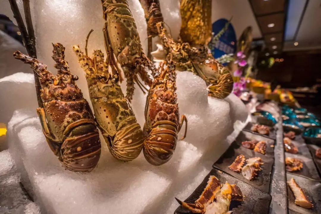 小悦鼎会海鲜自助,1大1小自助餐厦门