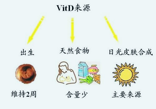 新生儿需要专门补充维生素d吗,新生儿需要补充维生素d