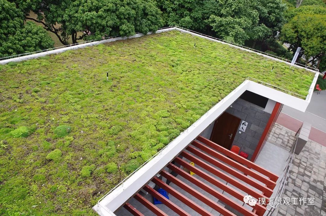 2019年香蜜湖公园,最新香蜜公园视频