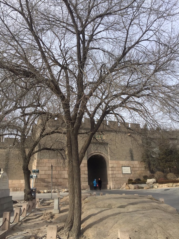 冬天去哪里旅游暖和特色美食,冬季游玩攻略美食推荐