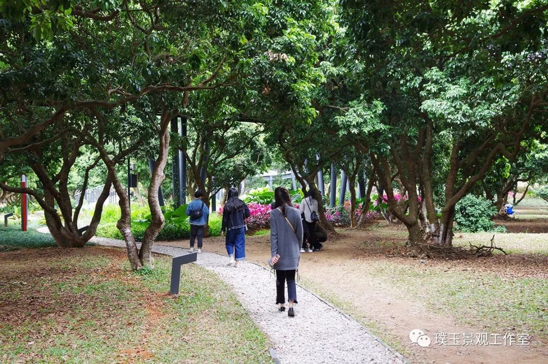 深圳香蜜公园航拍视频,香蜜湖香蜜公园