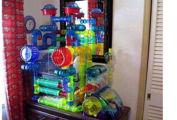 仓鼠虚弱无力被咬了怎么救,如何防止仓鼠咬笼子的方法