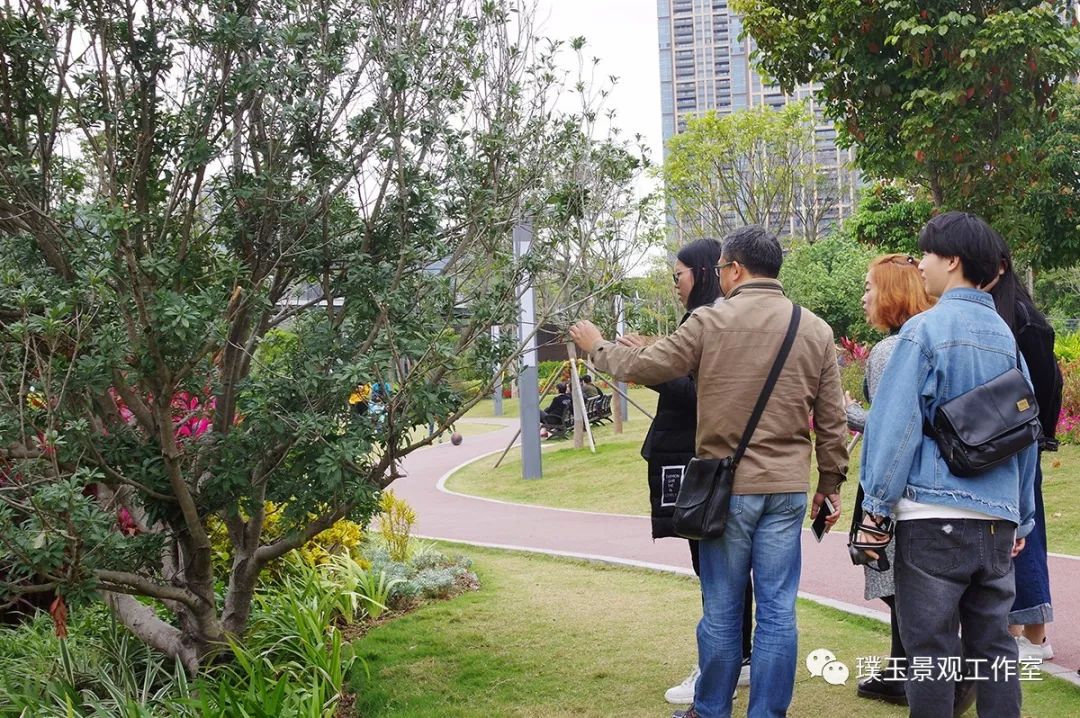 2019年香蜜湖公园,最新香蜜公园视频