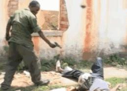 什么鬼完整版视频,什么鬼片更搞笑