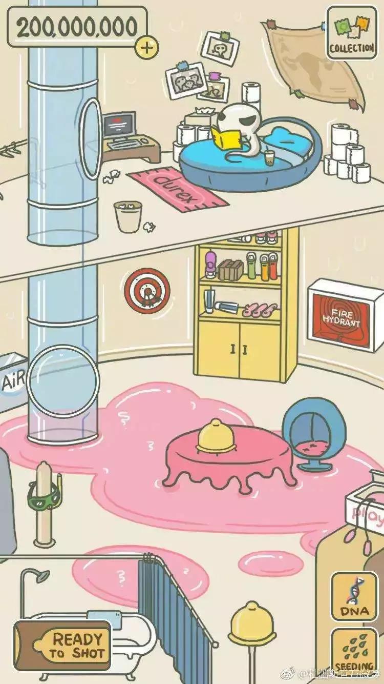 养蛙的成功经历,养蛙的感受和体验