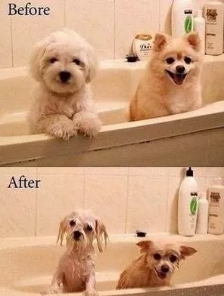 不想让头发有碎发,不想让头发蓬松的小窍门