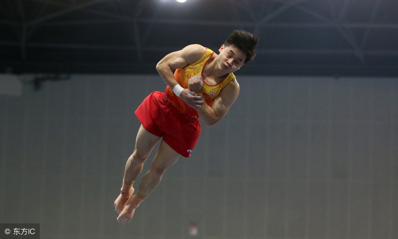 体操多哈世锦赛赛程,预祝中国奥运健儿们勇创佳绩