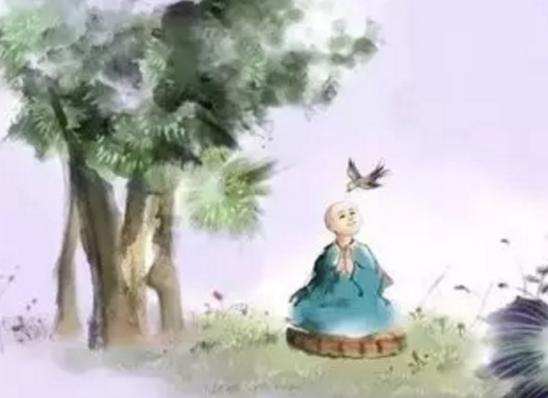 佛说计较多了心就累了,佛说不要太较真