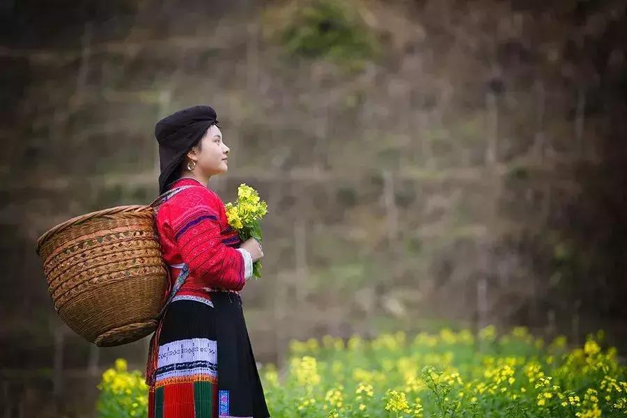 龙脊红瑶寨门票,桂林龙脊梯田门票优惠政策最新