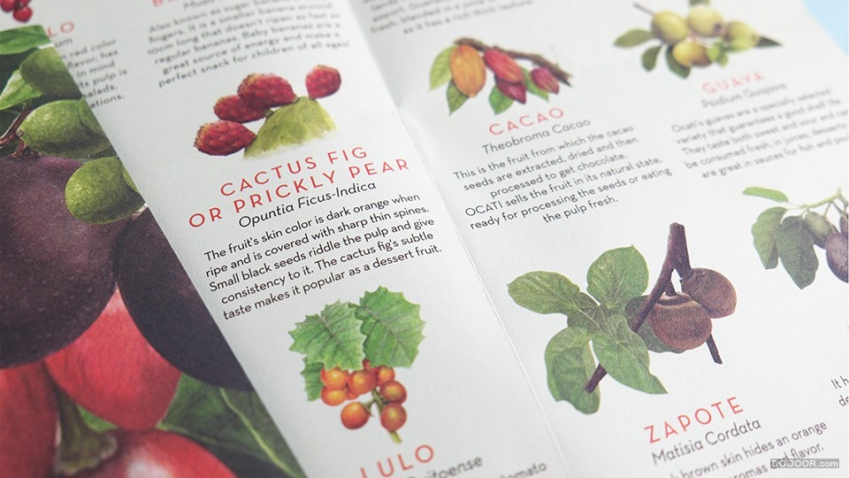 十大顶级高端水果包装,水果干品牌包装设计