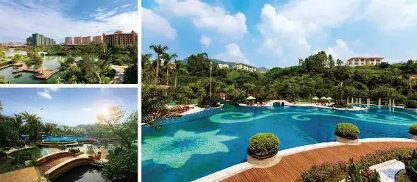 碧桂园炸雷,左右乱弹