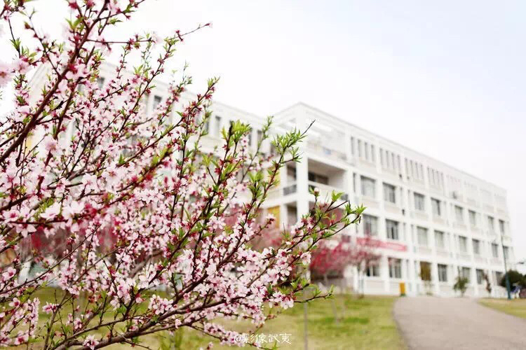 武夷山武夷新天地,武夷新天地学院