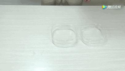 谁还买菜啊,空油桶剪两刀,蔬菜多到吃不完!