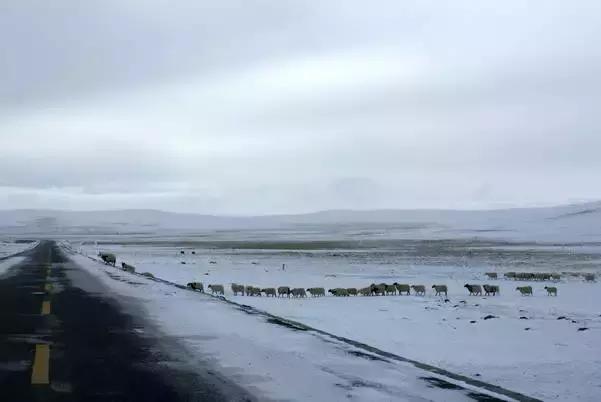 自驾游怎么穿越雪谷,自驾穿越雪地雾凇视频