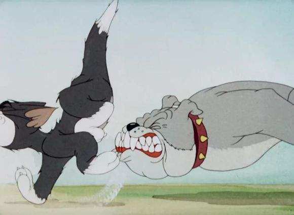 动漫中的那个可爱的狗,盘点狗狗的动画片