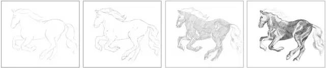 国画素描教程零基础入门,零基础学素描初学者入门教学