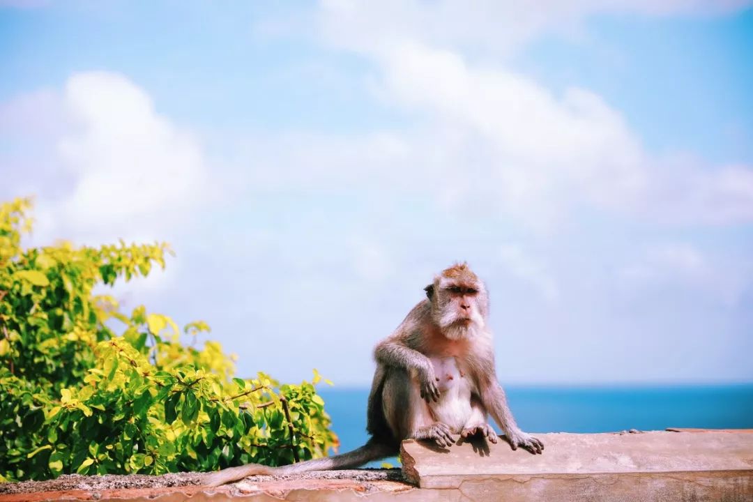 适合一个人去的9个小众旅行地,80个特色旅游活动