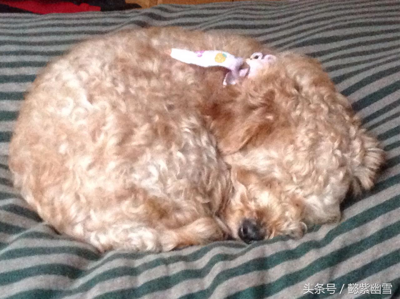 我的巧克力在哪里用英语怎么说,我的巧克力原版