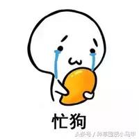 香奈儿淘宝上买的是真的吗,15元香奈儿