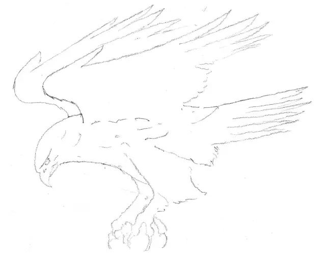 国画素描教程零基础入门,零基础学素描初学者入门教学