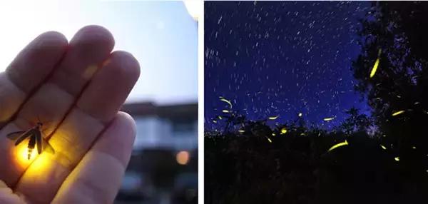 夏天一定要去一次沙巴吗,什么时候去沙巴旅游最适宜