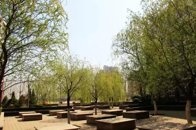 山师附中排行,山师附中简介