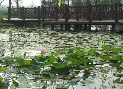 北京各区16处免费森林公园,森林公园北京有几个