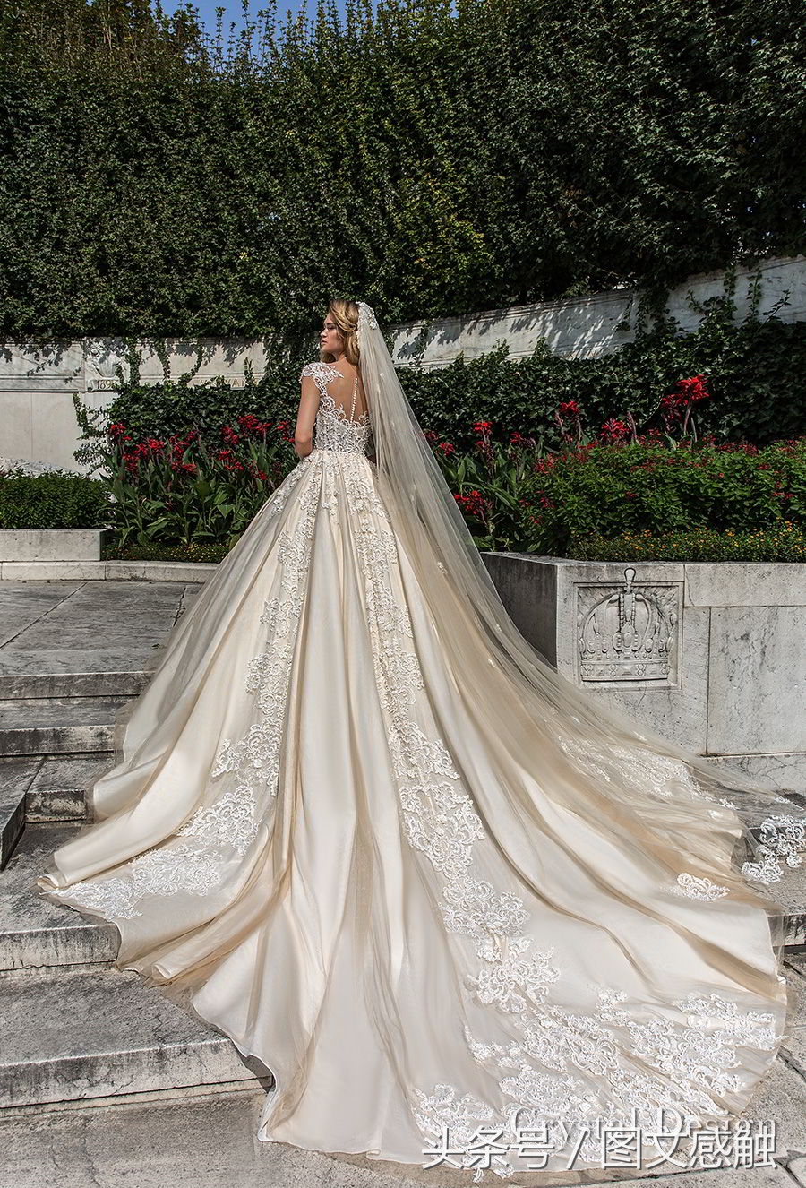 白银婚纱礼服设计,玫瑰婚纱礼服设计