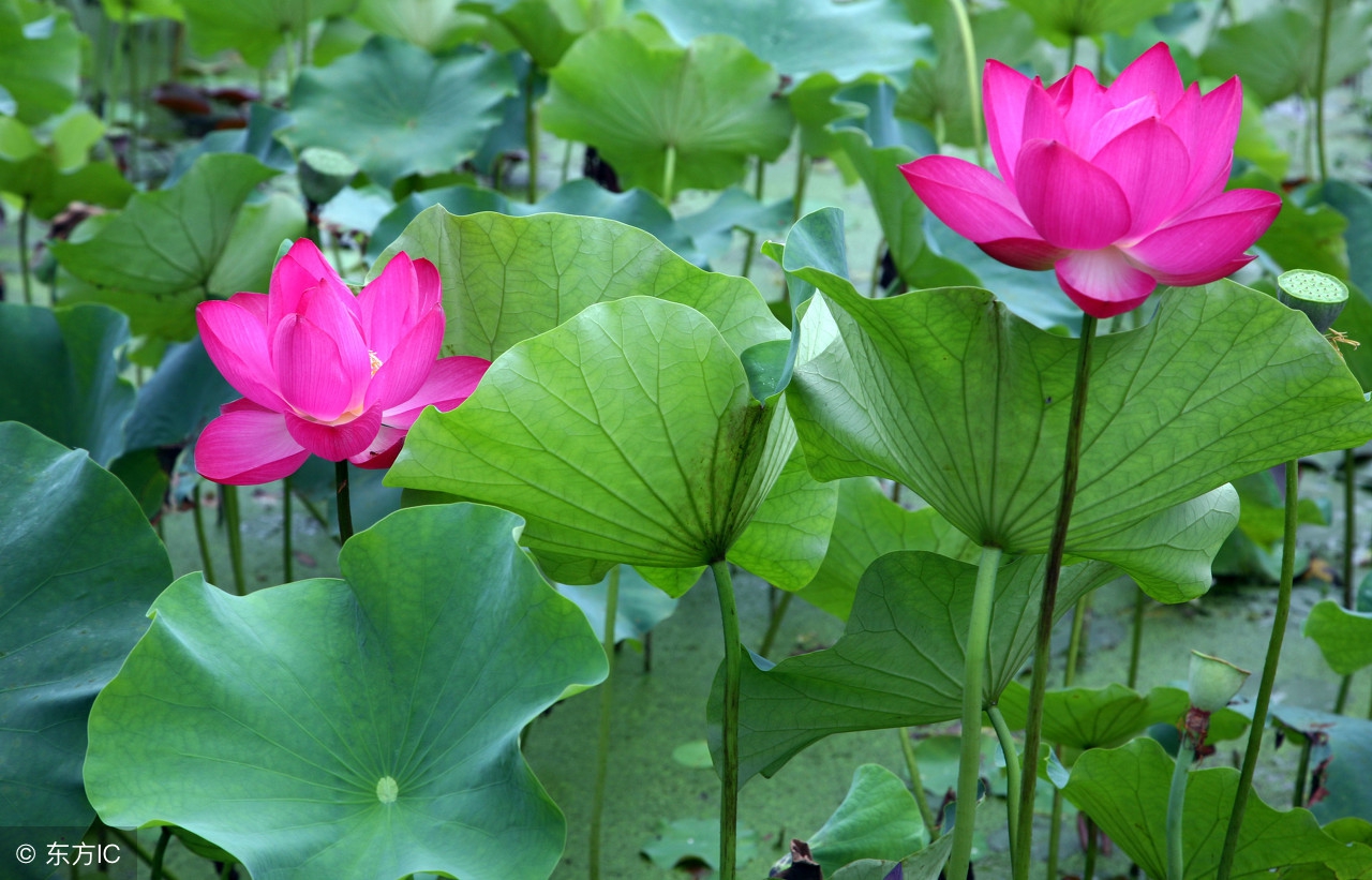 我手淫后现实的残酷教训！