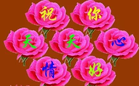 刚出的群主相册,有群的都看看,太美了,这一辈子见一次值了!