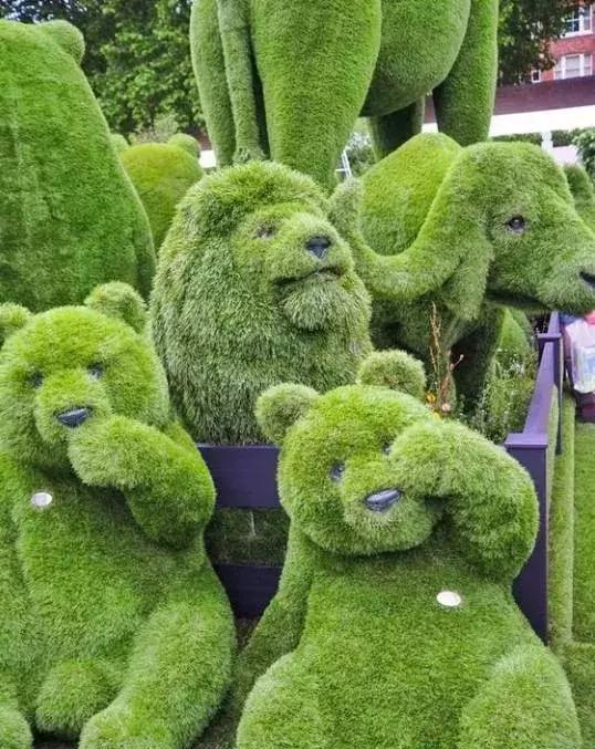 11月4,有群的都看看,太美了,这一辈子见一次值了!