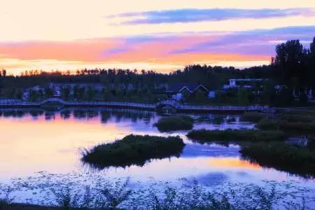 北京这38个森林公园您都去吗？先收藏了，有空咱们玩个遍！