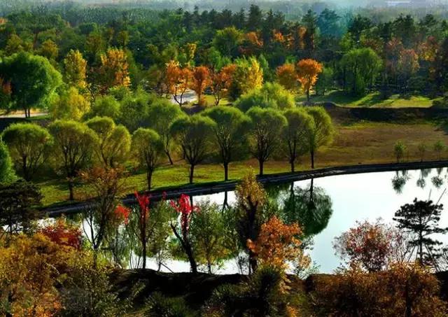 北京各区16处免费森林公园,北京最新40个公园