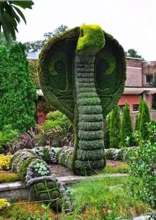 11月4,有群的都看看,太美了,这一辈子见一次值了!