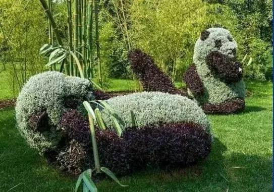 刚出的群主相册,有群的都看看,太美了,这一辈子见一次值了!